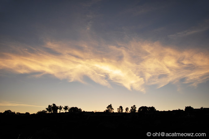 2010.03.14 0657p SanDiego